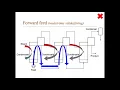 Evaporation Multieffect feed patterns DRAFT