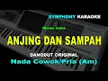 Download Lagu ANJING DAN SAMPAH KARAOKE COWOK/PRIA | Rhoma irama