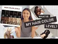 What is the hair color level
