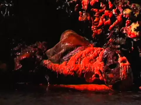 Cryptic Plasm hypergore trailer