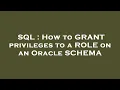 SQL How to GRANT privileges to a ROLE on an Oracle SCHEMA