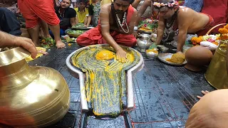 baba baidyanath jyotirling ka shringar puja nikhil kashyap 8092653379 babadham deoghar