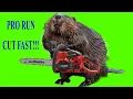 pro run saw first run and thoughts