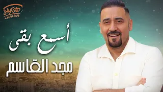                            مجد القاسم أسمع بقى دندنها
