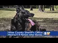 Wise County Sheriff s K-9 Missing