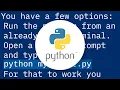 How to keep a Python script output window open
