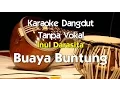 Download Lagu Karaoke   Inul Daratista - Buaya Buntung