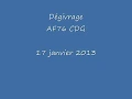 Dégivrage AF76 CDG