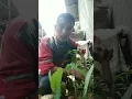Download Lagu cacing nya salah apa😂