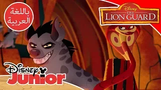 أغاني سكار قيادة الأسد الحارس 