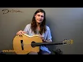 2012 Traphagen D'Aquisto Nylon Jazz, Maple & Spruce