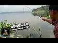 Download Lagu INFO TERKINI || CUACA BURUK PENGARUHI RESPON IKAN