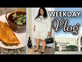 Shopping Dillards Clearance Store My Feet Are NOT it How I Make Birria Tacos How To Egg Test
