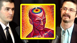 what is a dmt trip like and who are the entities you meet matthew johnson and lex fridman