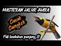 Lagu Jernih !! MASTERAN CUCAK CUNGKOK FULL TEMBAKAN PANJANG❗