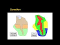 Automated Parameter Estimation