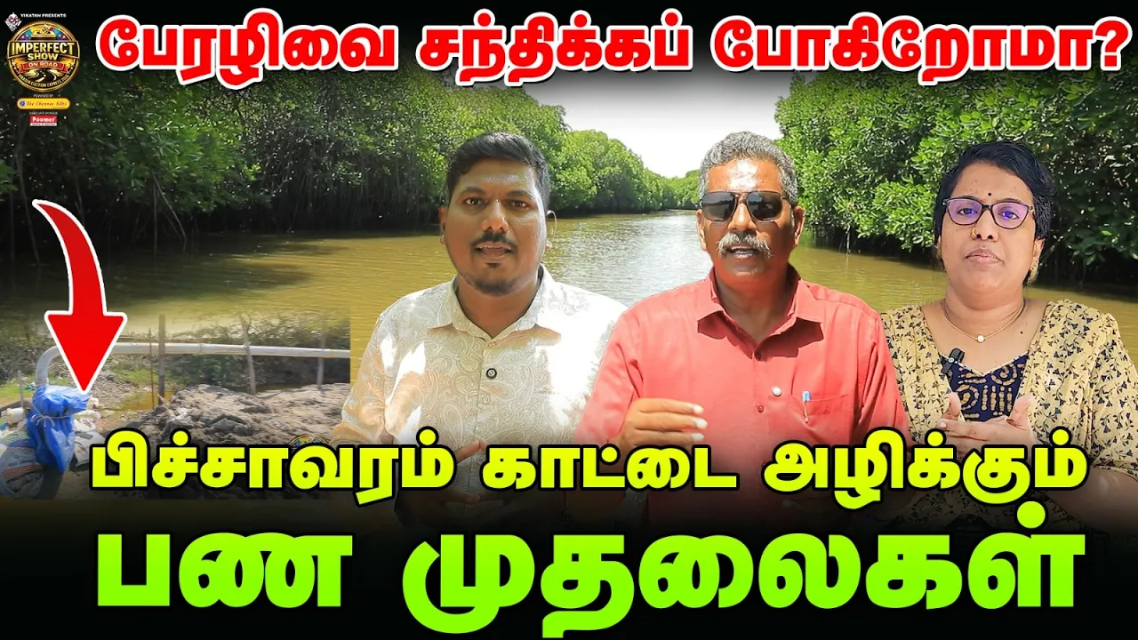 சுனாமியில் இருந்து காத்த Pichavaram Mangrove Forest - அழிவின் விளிம்பில்? | IPS On Road #20 Vikatan