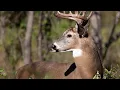 Missouri Department of Conservation to raise prices on permits for 2026