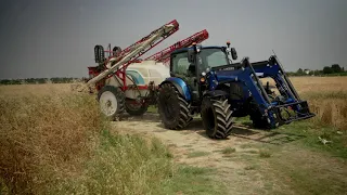                                 دندنها