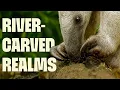 Download Lagu Evolutionary Eden \u0026 Heart of the Americas | FULL DOCUMENTARY | Wild Colombia | @UltimateNatureDocs