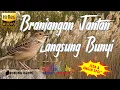 Download Lagu Jika Branjangan Anda Jantan Pasti Ikut Bunyi, Pancingan Branjangan Parva Ngriwik