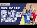 Download Lagu Brock looks Purdy, Herbert looks gifted, Tua looks limited + Weekend Roses \u0026 Mike White Lotus | GoJo Download Lagu Brock looks Purdy, Herbert looks gifted, Tua looks limited + Weekend Roses \u0026 Mike White Lotus | GoJo