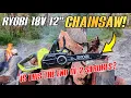 Is this Ryobi Battery Chainsaw the FUTURE One HP 18V OCS1830BL