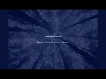 Motionfield - Sounds From A Lonely Forest
