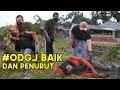 Download Lagu OD9J SANDI PULIH 100%, APAKAH SEKARANG JADI TIM BANG EGO..?