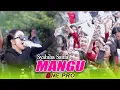 Download Lagu MANGU SYAHIBA SAUFA X ONE PRO LIVE SMA 1 SRONO BANYUWANGI