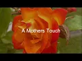 Elizabeth Rulffes - A Mothers Touch (Official Lyric Video)
