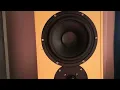 Aural Envelope EX300 Bass Test - Bun Ganja 24/7 (Dub Mix)