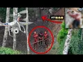Download Lagu De 5 meest angstaanjagende drone-opnames die per ongeluk zijn gemaakt - deel 2