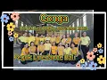 Conga | Eun Ju Lee (KOR) - November 2023 | Pegok Linedance Bali | No Tag/No Restart #bali #linedance