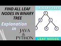 Print All Leaf Nodes in Binary Tree Java Python Implementation Binary Tree Data Structure