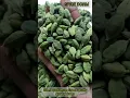 Green Cardamom First Quality Well cleaned No Added color || Spice Dorm