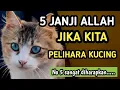 Download Lagu 5 Janji Allah Bagi Yang Suka Memelihara Kucing | No.5 Paling Di Harapkan