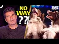 Download Lagu You Won't Believe What These Dogs Can Do! | Britain's Got Talent