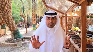 الفرق بين عجوة العالية وعجوة المدينة دندنها