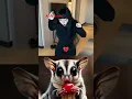 LARA ROSE Funny moment