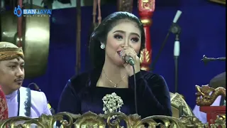 Download Suami protes ANAKE SOPO Akhirnya dijawab istri Kar.CINDE LARAS MP3