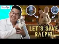 Skincare s Open Secret Animal Testing