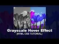 Filter Grayscale On Hover Using HTML CSS - Black And white Portrait Effect