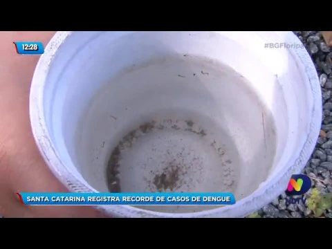 Santa Catarina registra recorde de casos de dengue