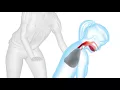 Download Lagu Children First Aid: Choking Child part 1  | First Aid | British Red Cross