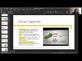 WU 6501 Midterm Review Part 1 of 2