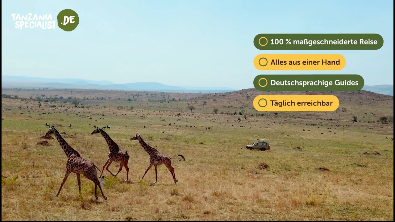TanzaniaSpecialist.com — Tanzania Specialist - Ihr Begleiter zu Afrikas Highlights (YouTube video ad)