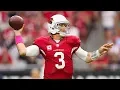Carson Palmer Predicts NFL Will Eventually Partner with CBD Company The Dan Patrick Show 19