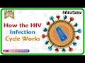 Download Lagu How the HIV Infection Cycle Works - Animated microbiology