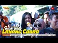 Download Lagu LANANG COBRA - INDAH WATY | ANICA NADA 16 AGUSTUS 2024 | TEGALWIRANGRON | KERTASMAYA| INDRAMAYU